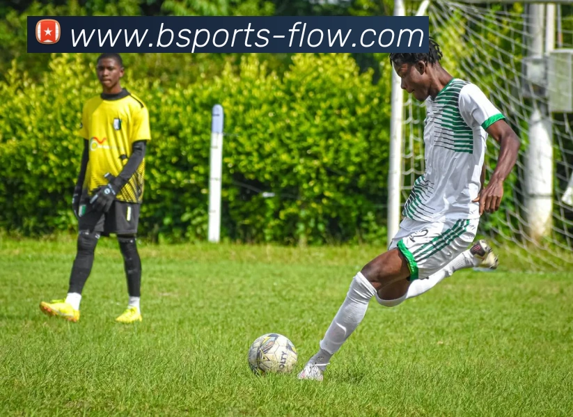 App Interface Preview